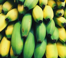 banan-nutricni