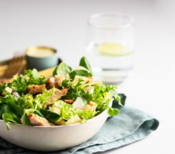 Kureci salat recept